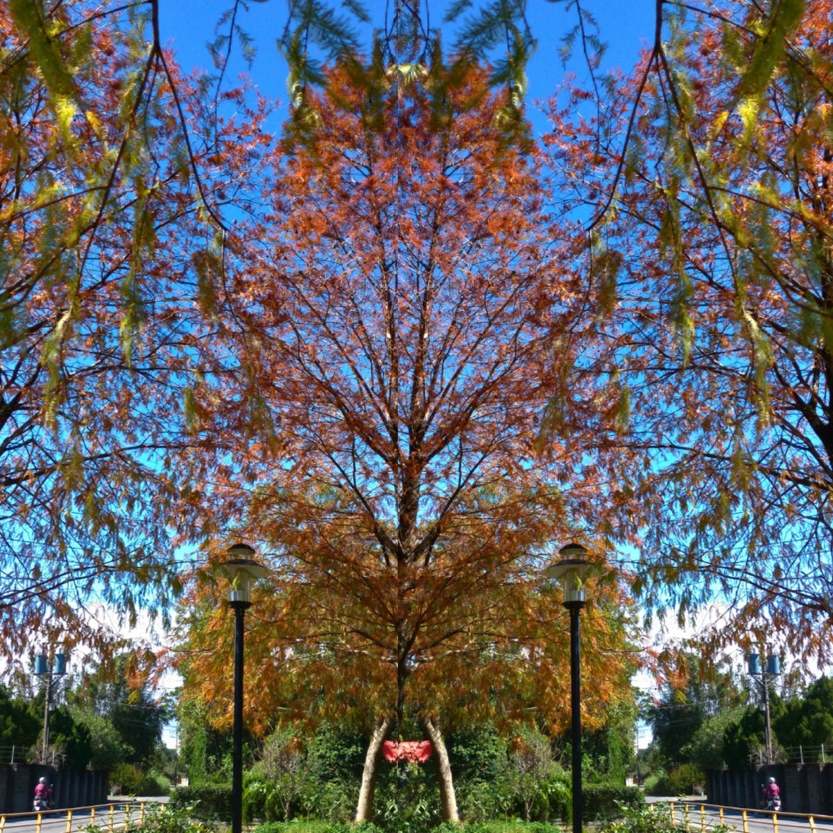 20250826-cauv2