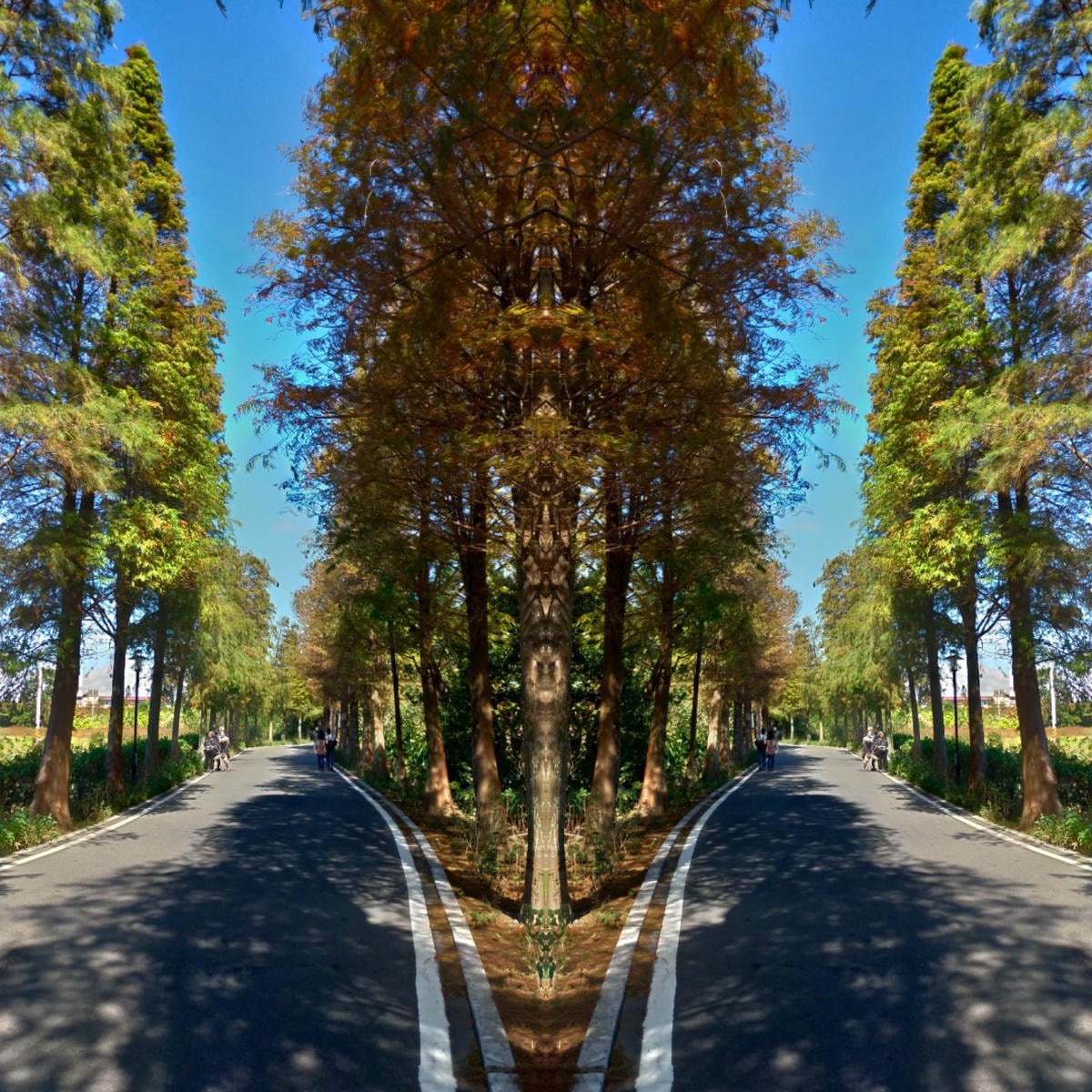 20250826-j65ta