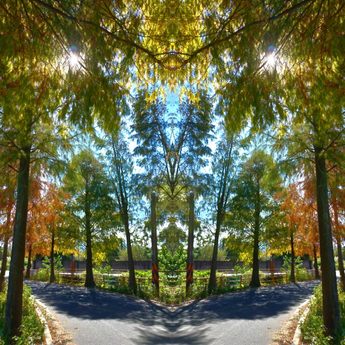 20250826-l1h92