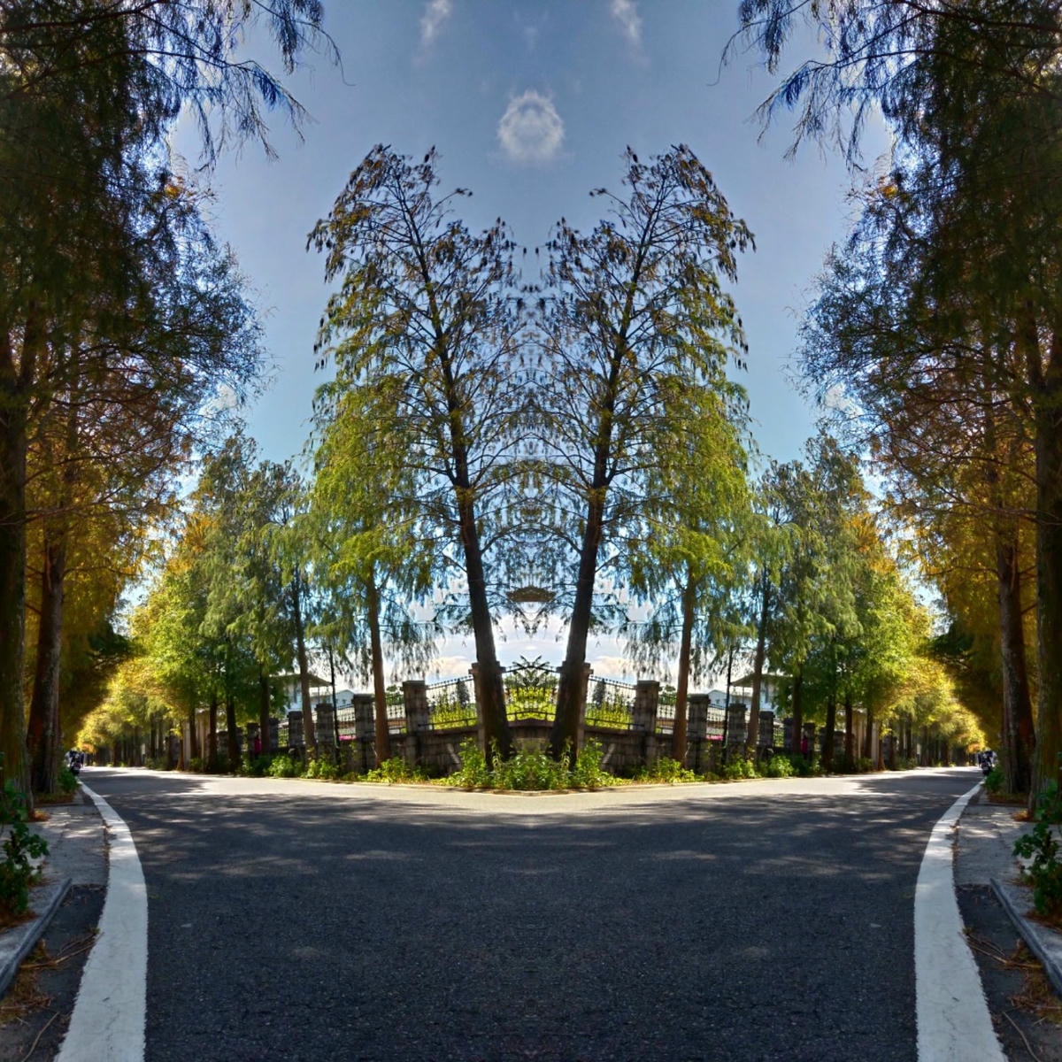 20250826-yvr44