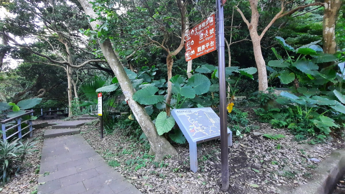 20250826-tkexo