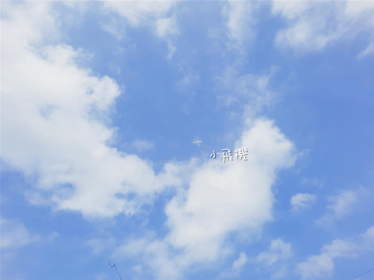 20250826-1oaet