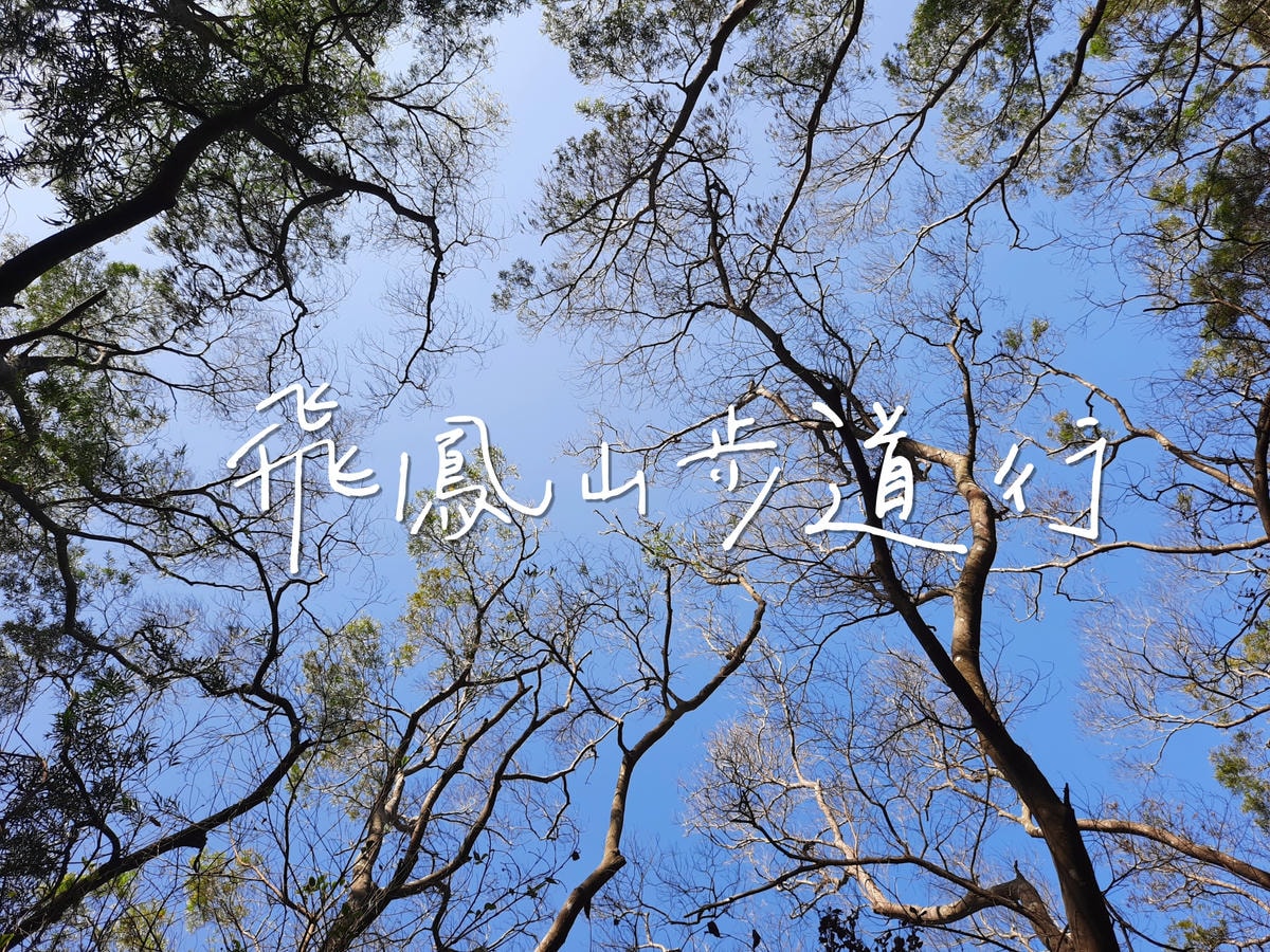 20250826 1yf5u