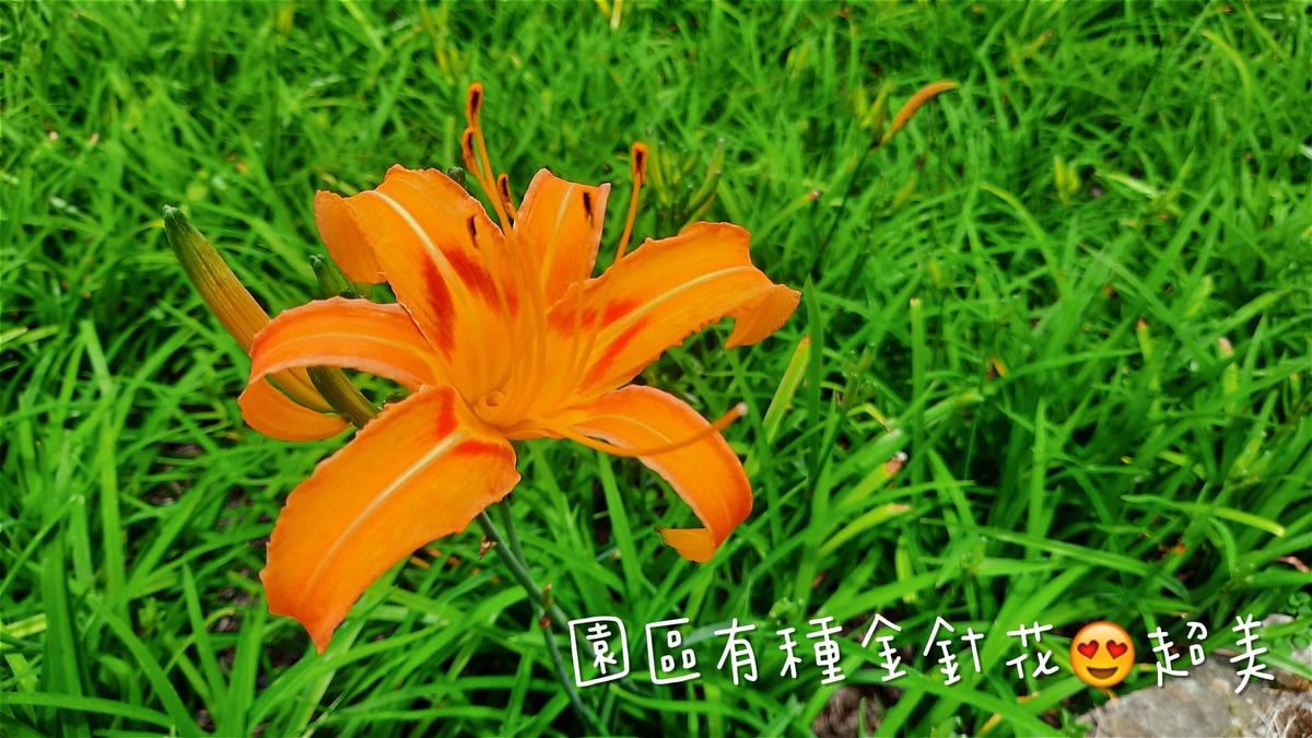 20250826-s0drp