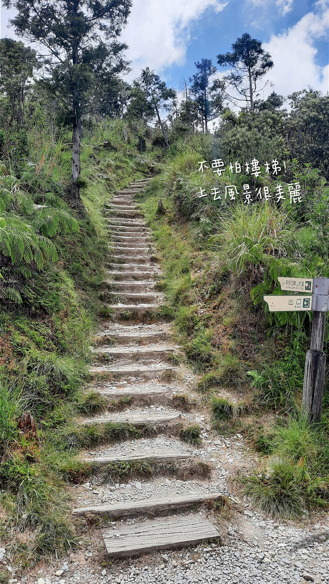 20250826-5wrsw