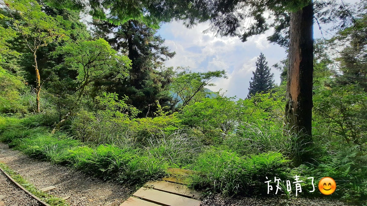 20250826-v7jhz