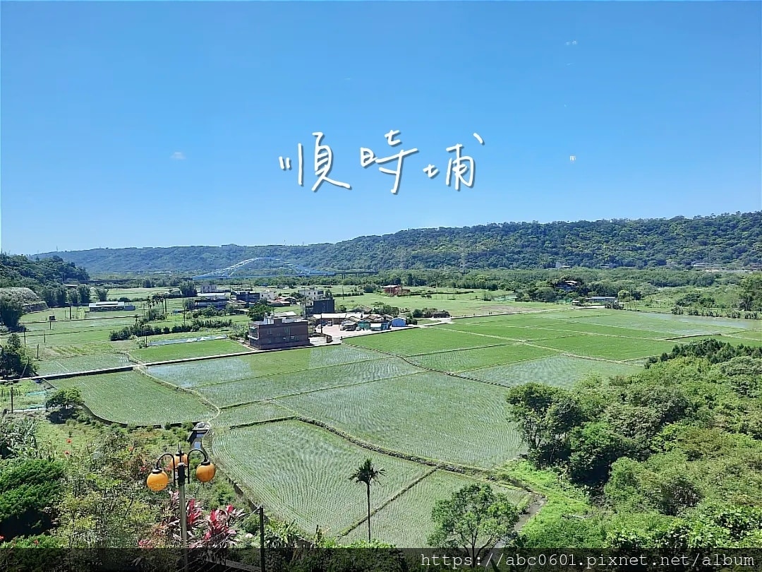 20250826 nz4ms