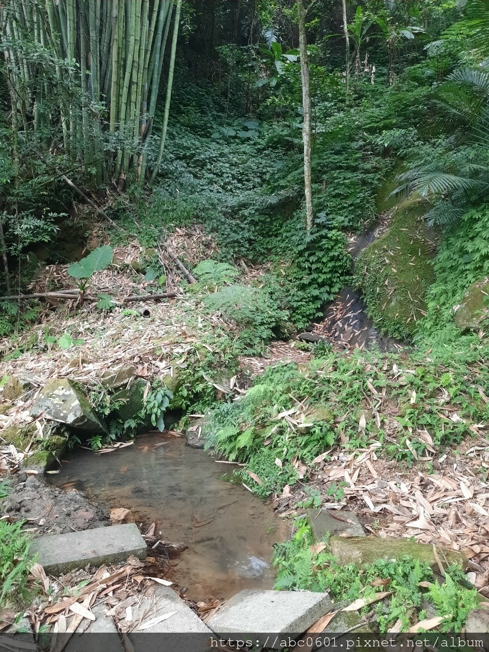 20250826-f5rgs