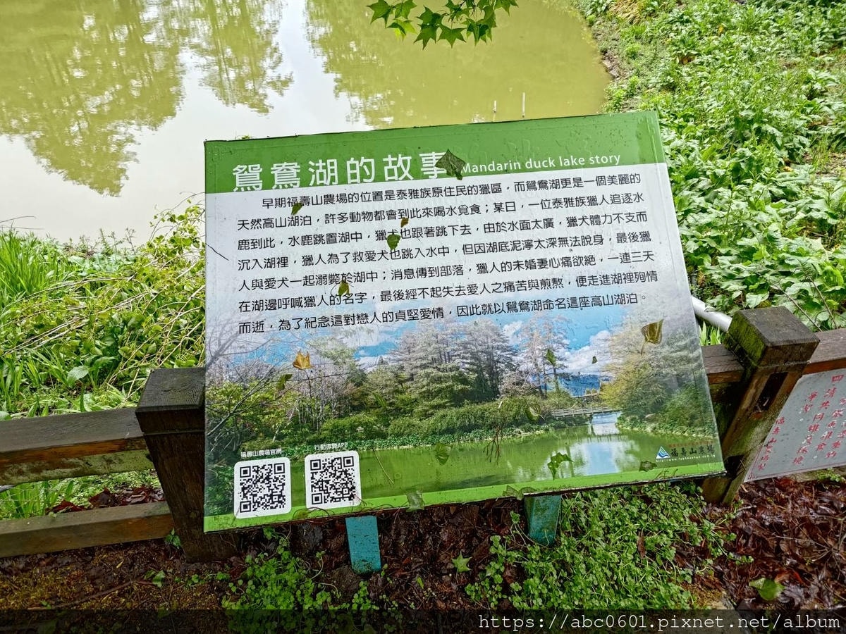 20250826-rf4rc