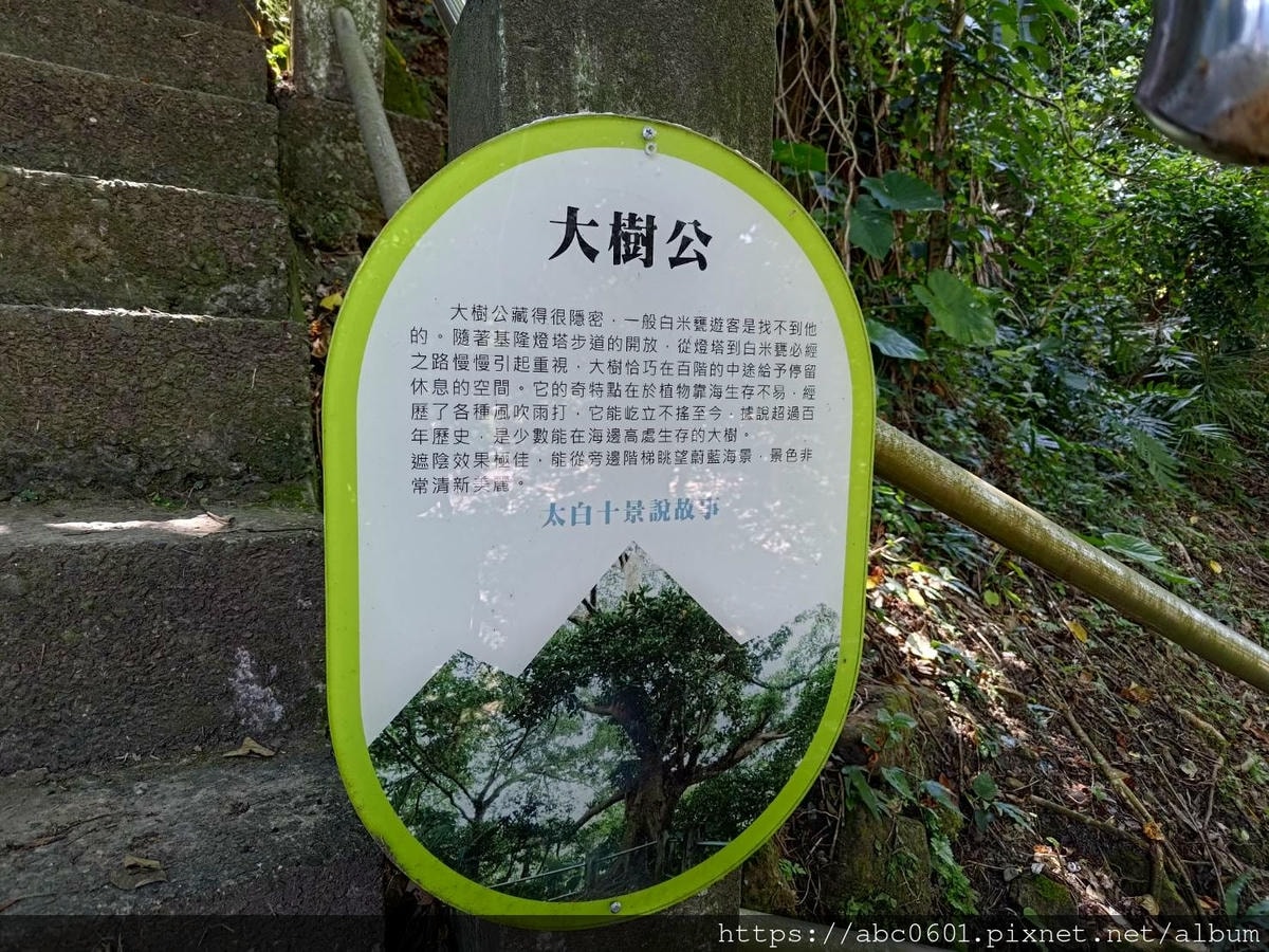 20250826-wf8s0