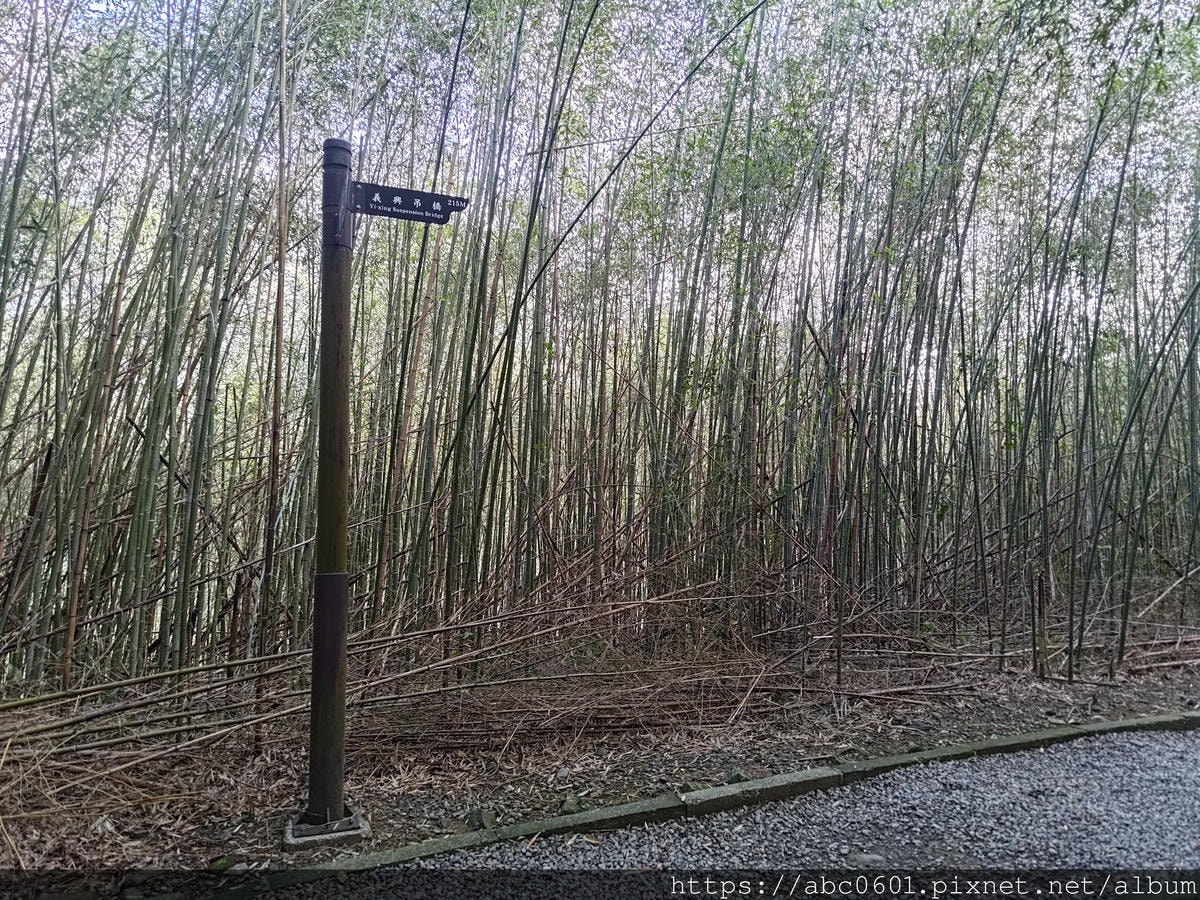 20250826-vgzz2