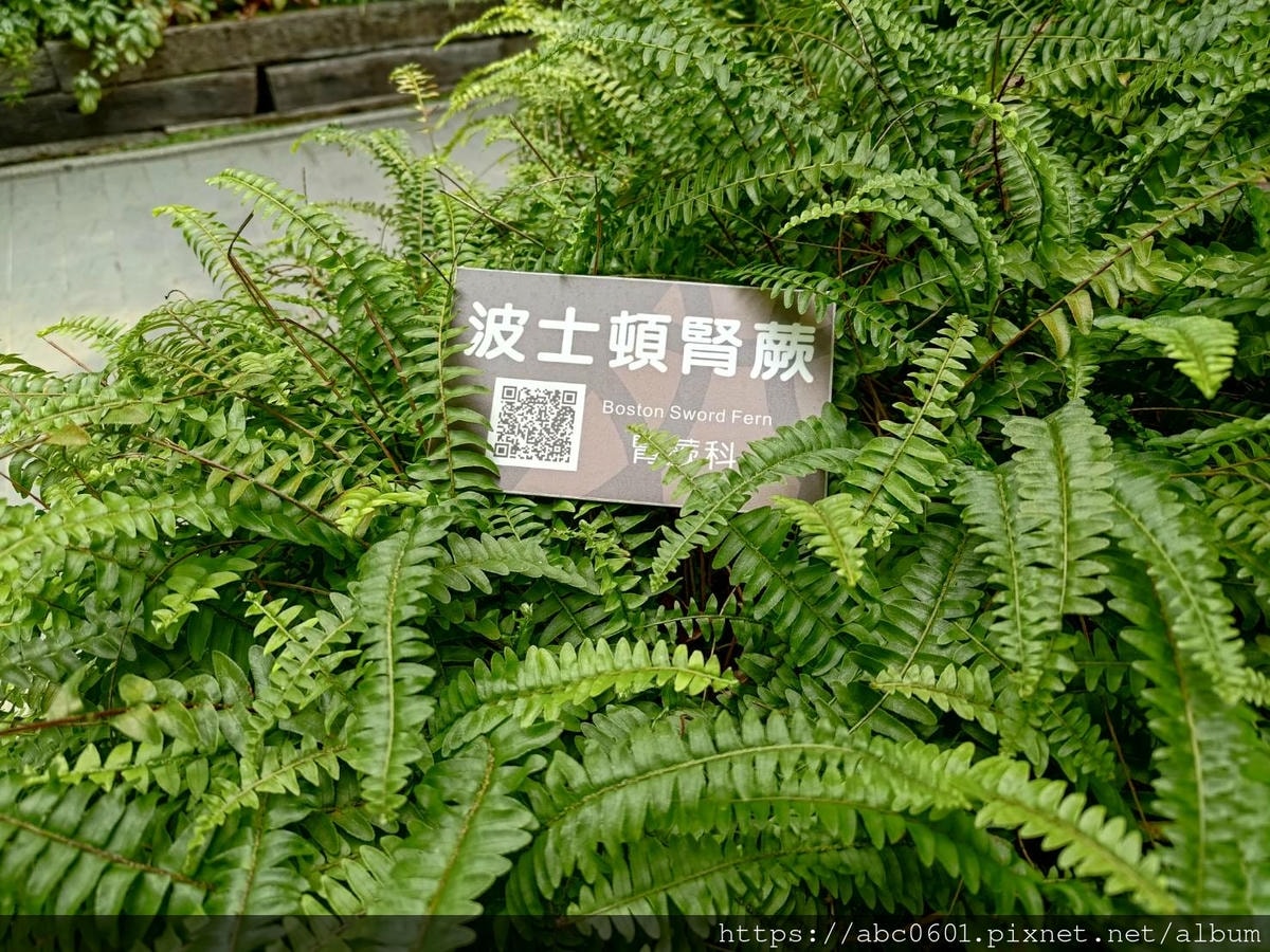 20250826-msqim