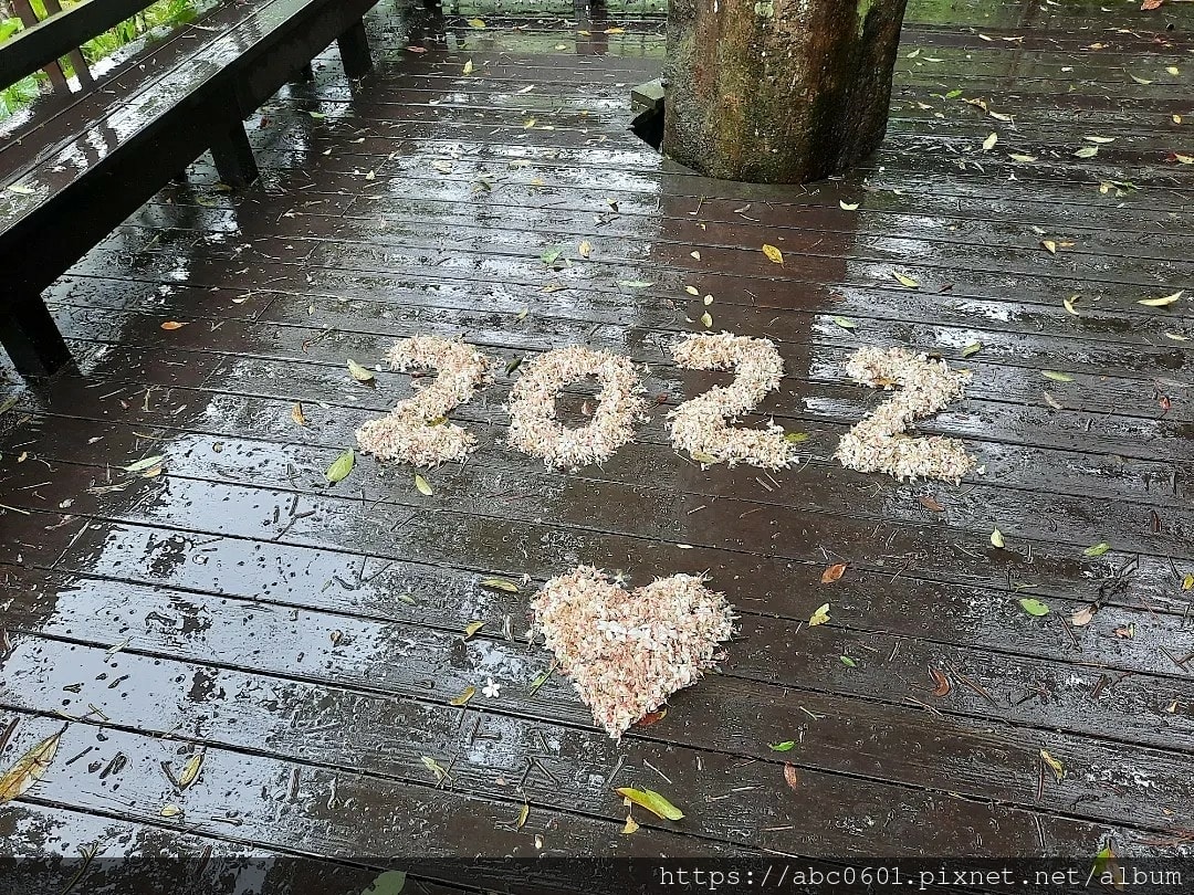 20250826-fbtii