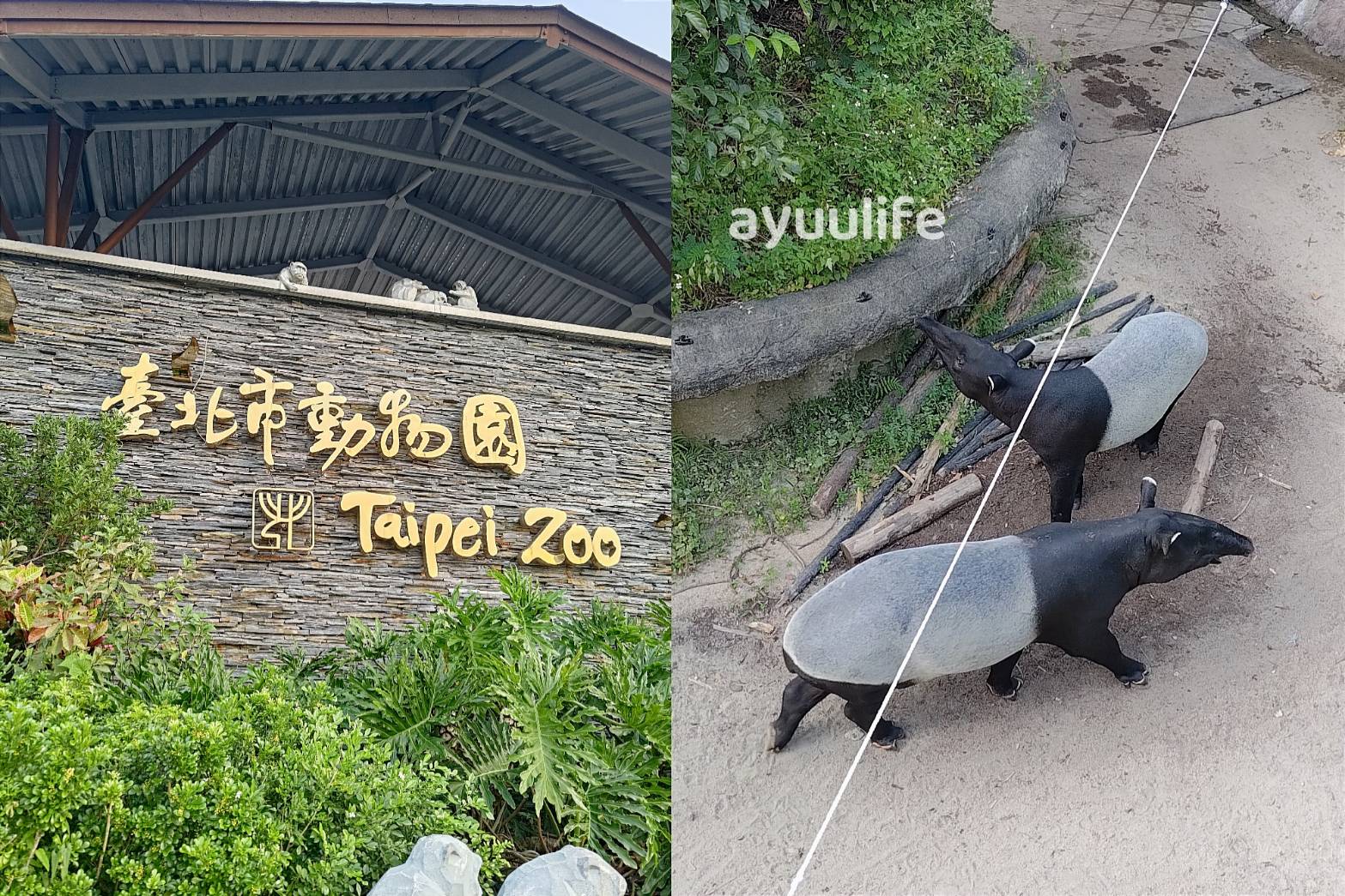 zoo