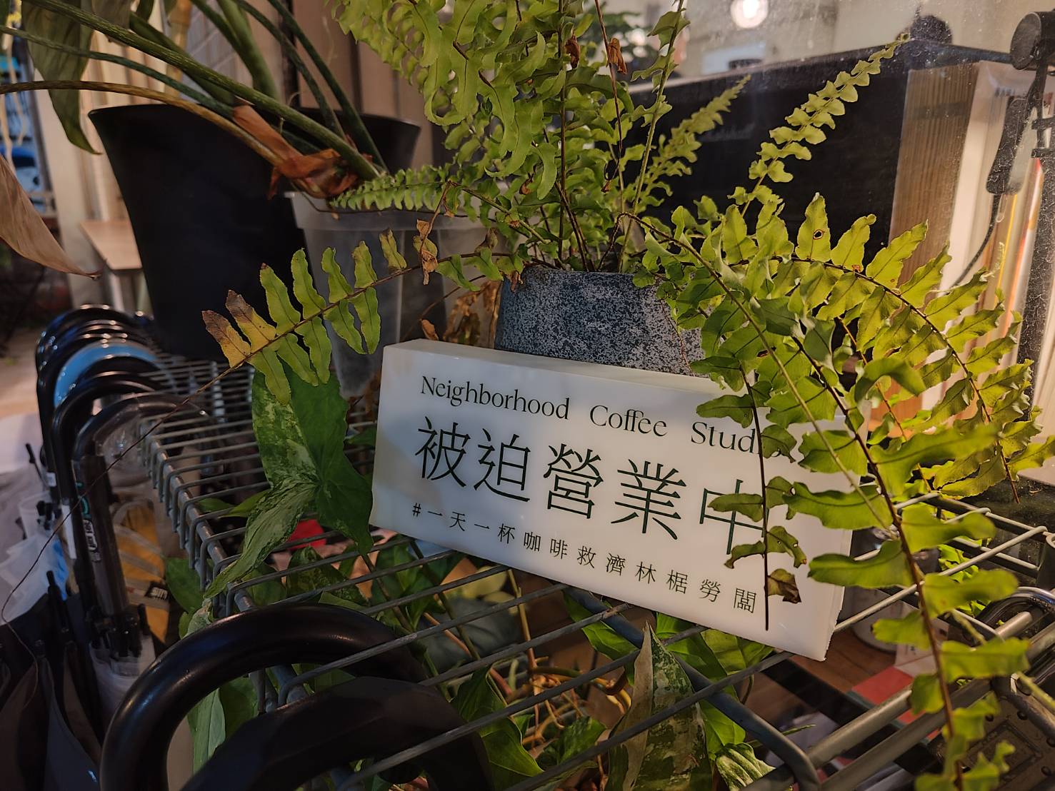 neighborhood_coffee_tw