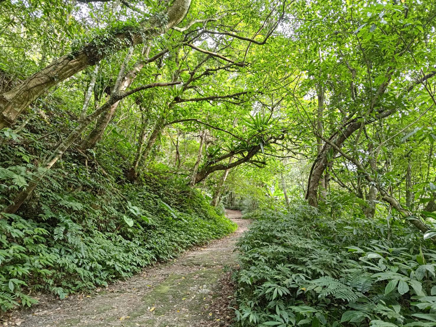 【新北】藏身三峽山中閩式三合院｜老宅提供簡易中式料理｜正德居｜附設免費停車場｜近熊空林道、滿月圓