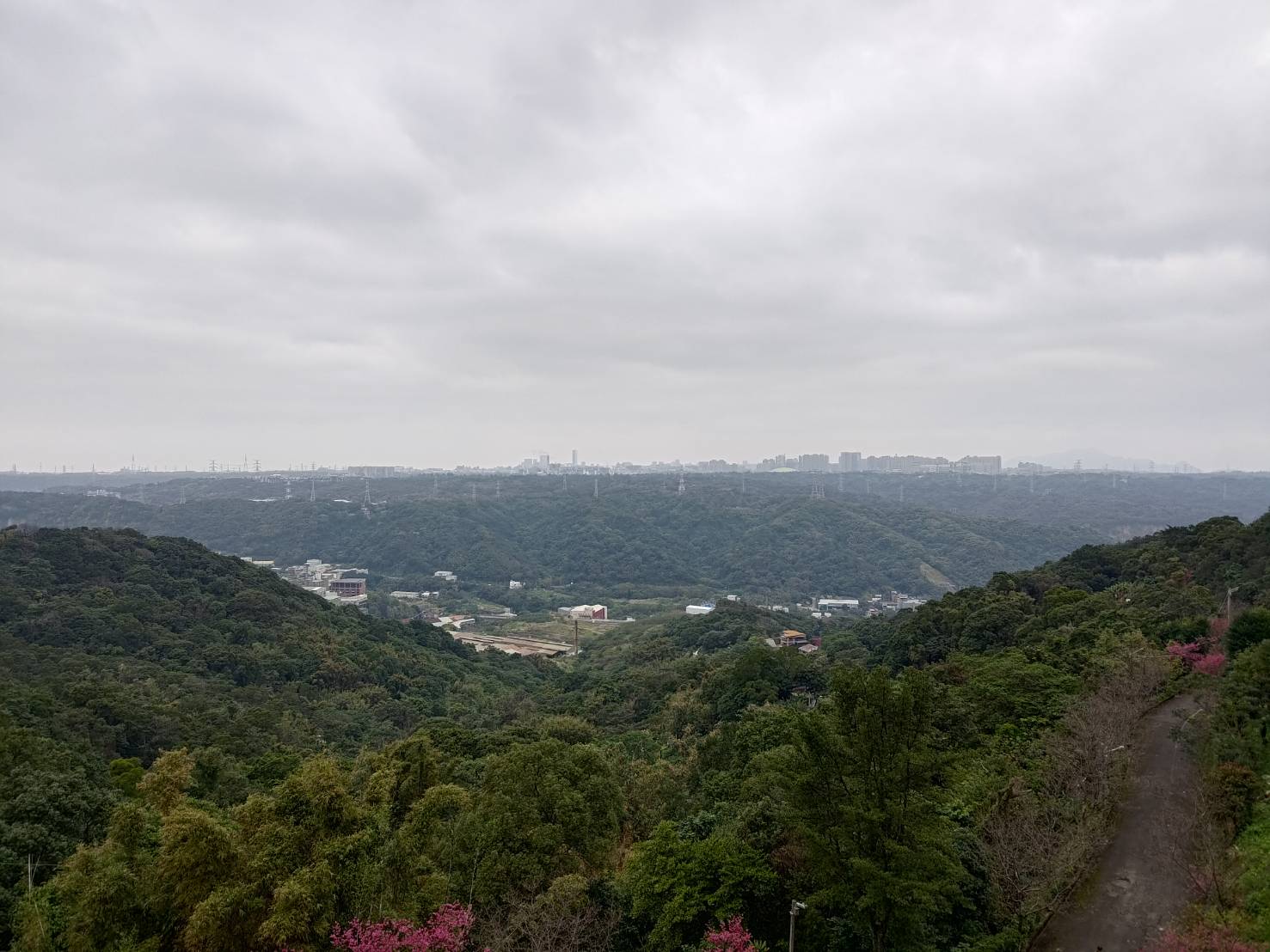 mountains