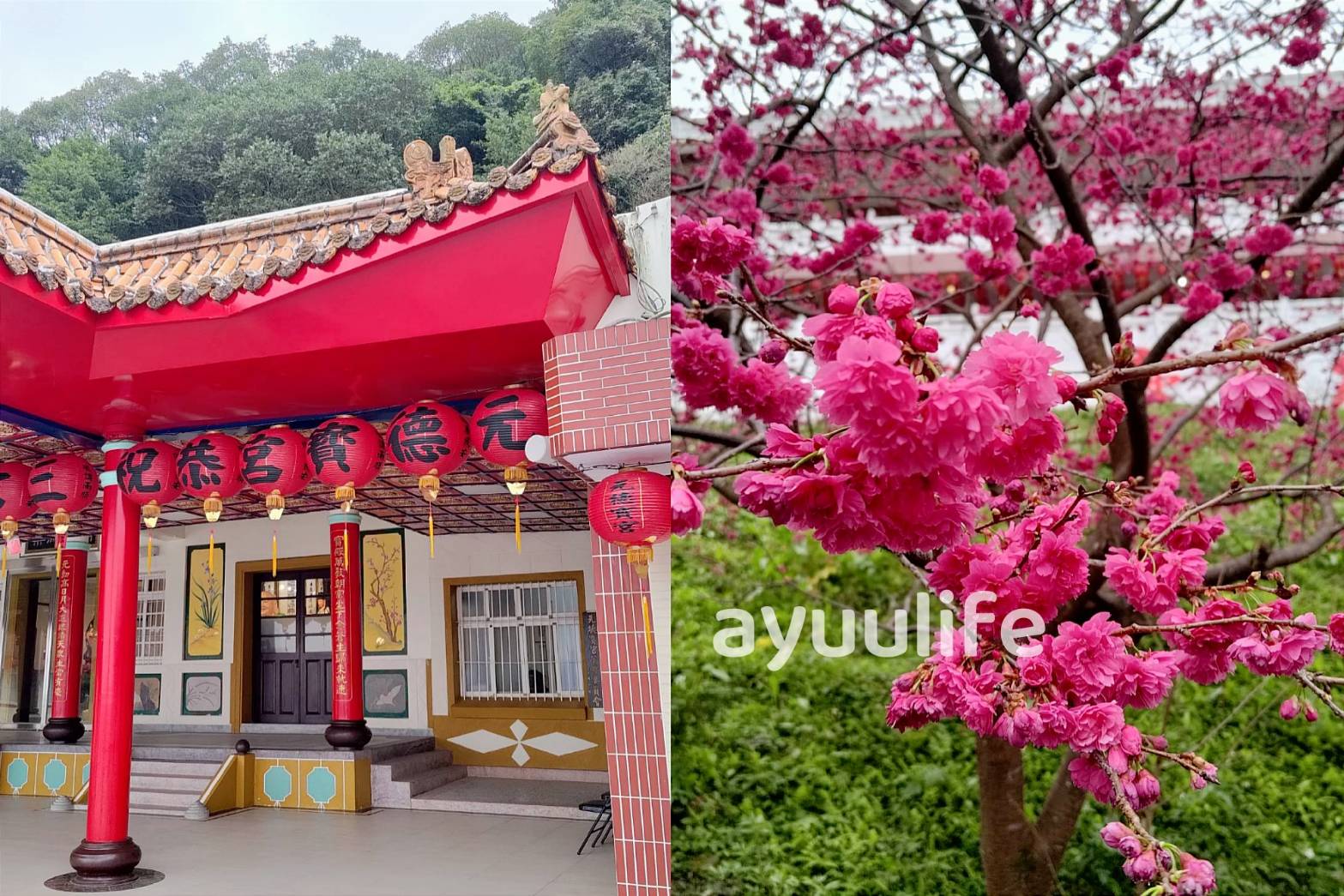 Multi-layered cherry blossom