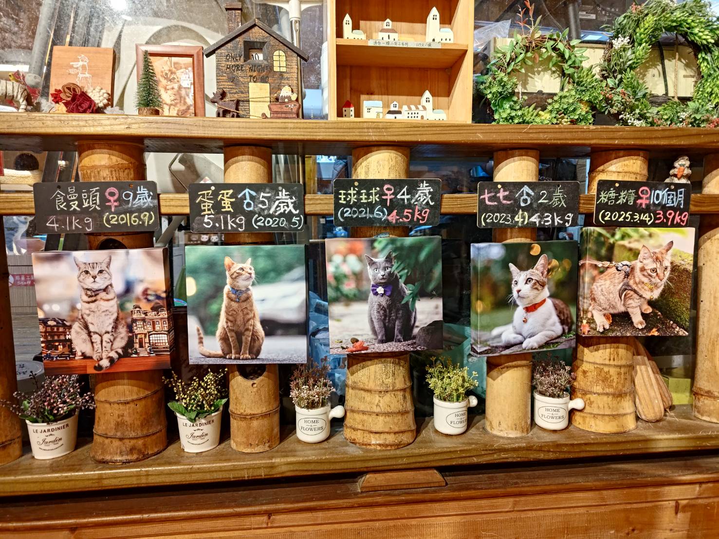 olive-tree-guesthouse-cafe