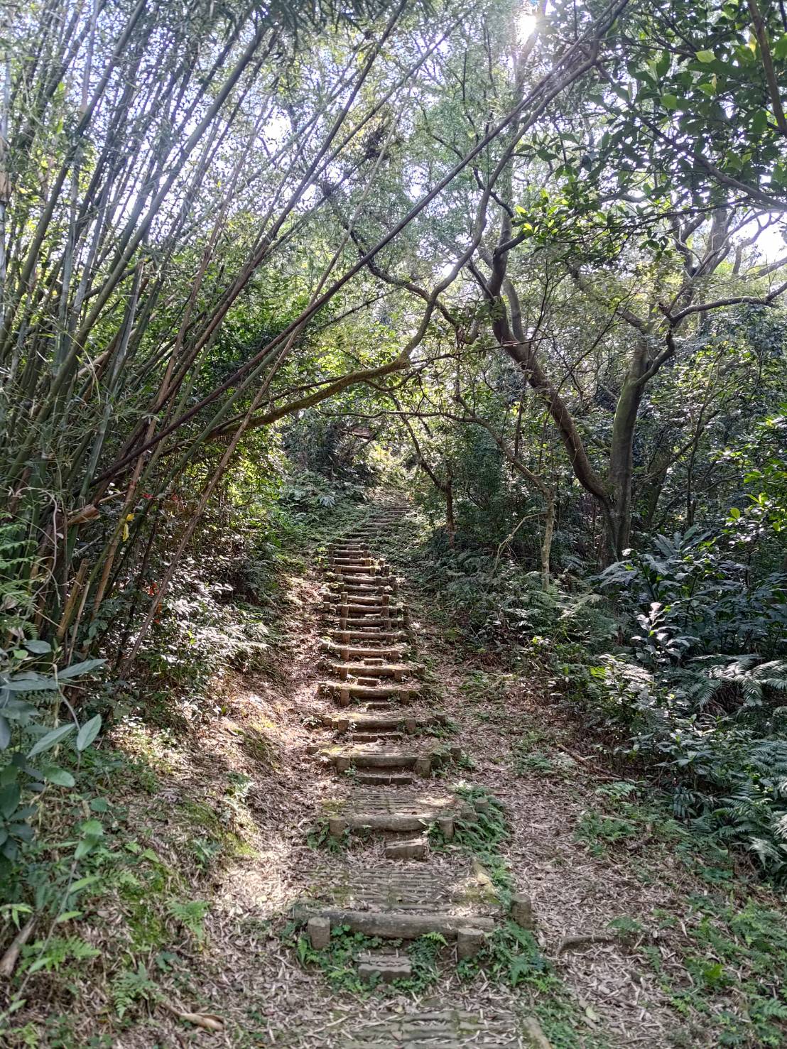 hiking