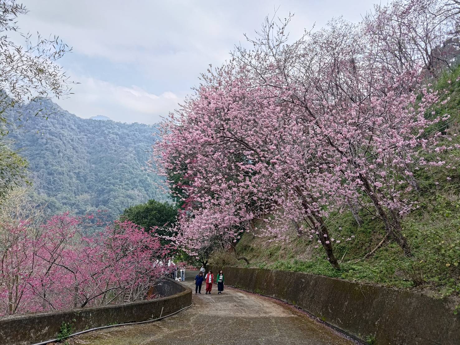 biluojiao