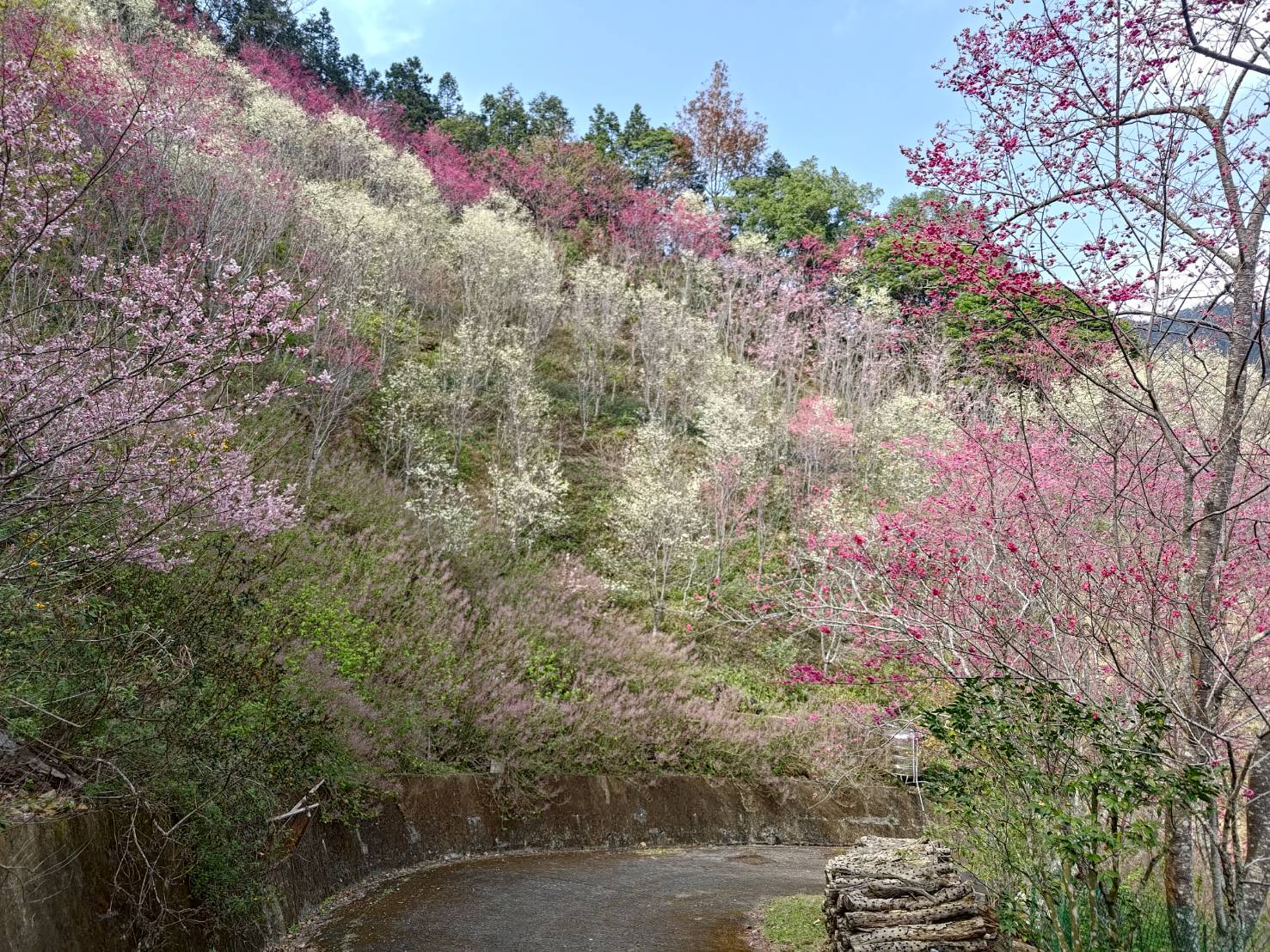 biluojiao