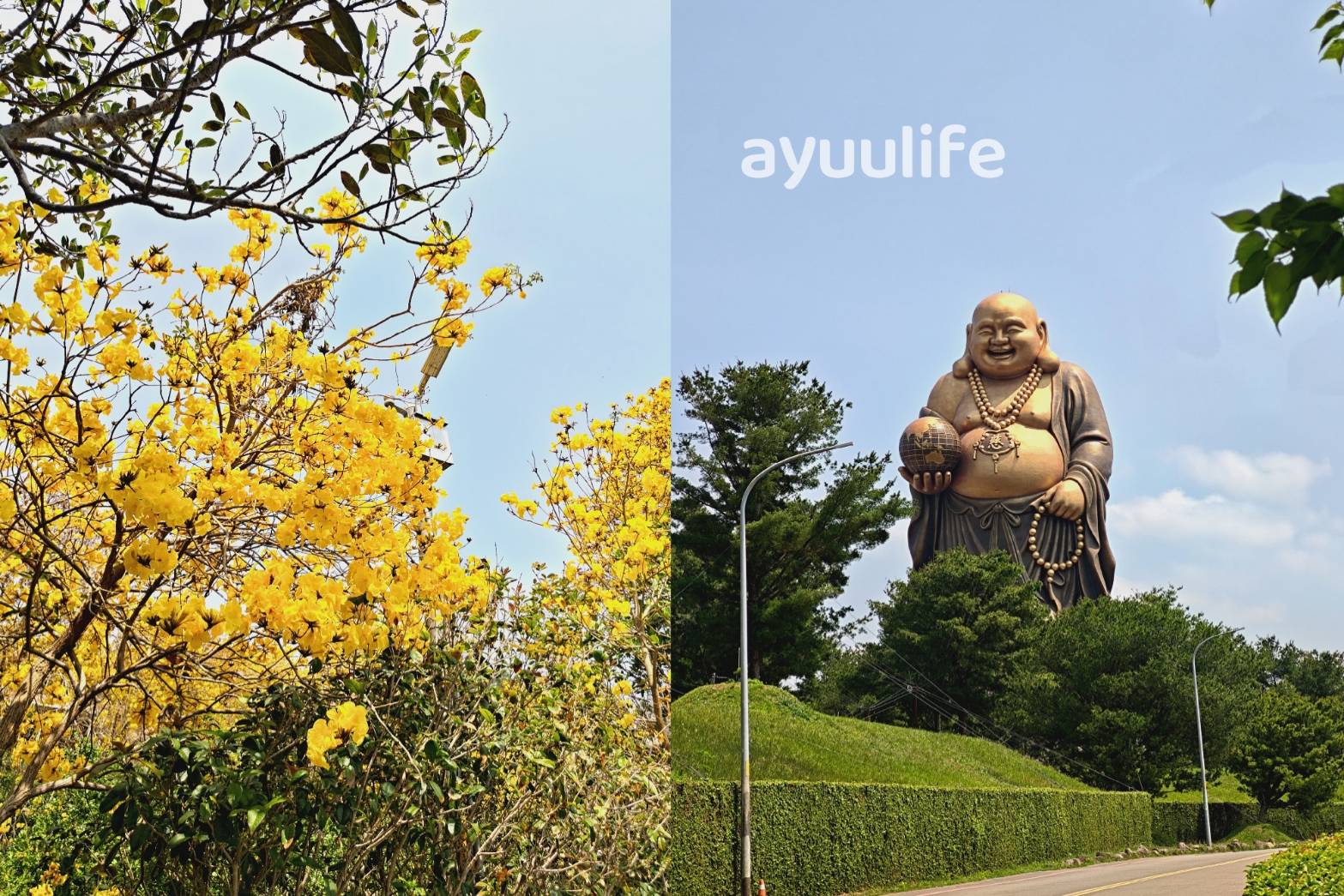 Emei Lake Trail