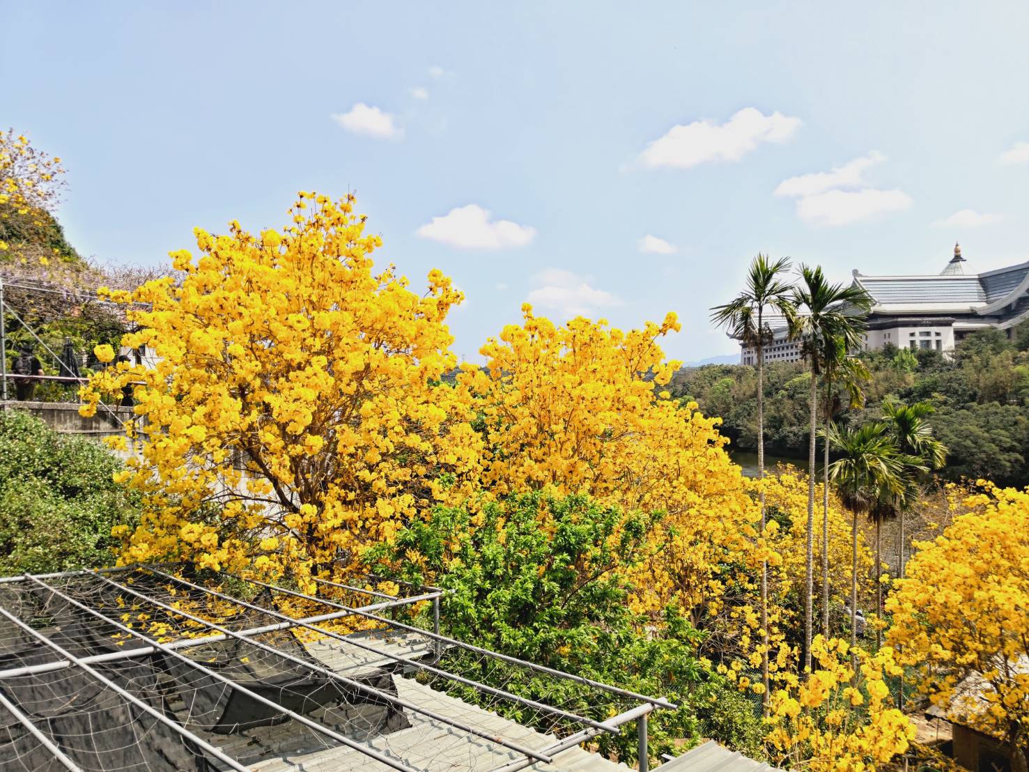 Emei Lake Trail