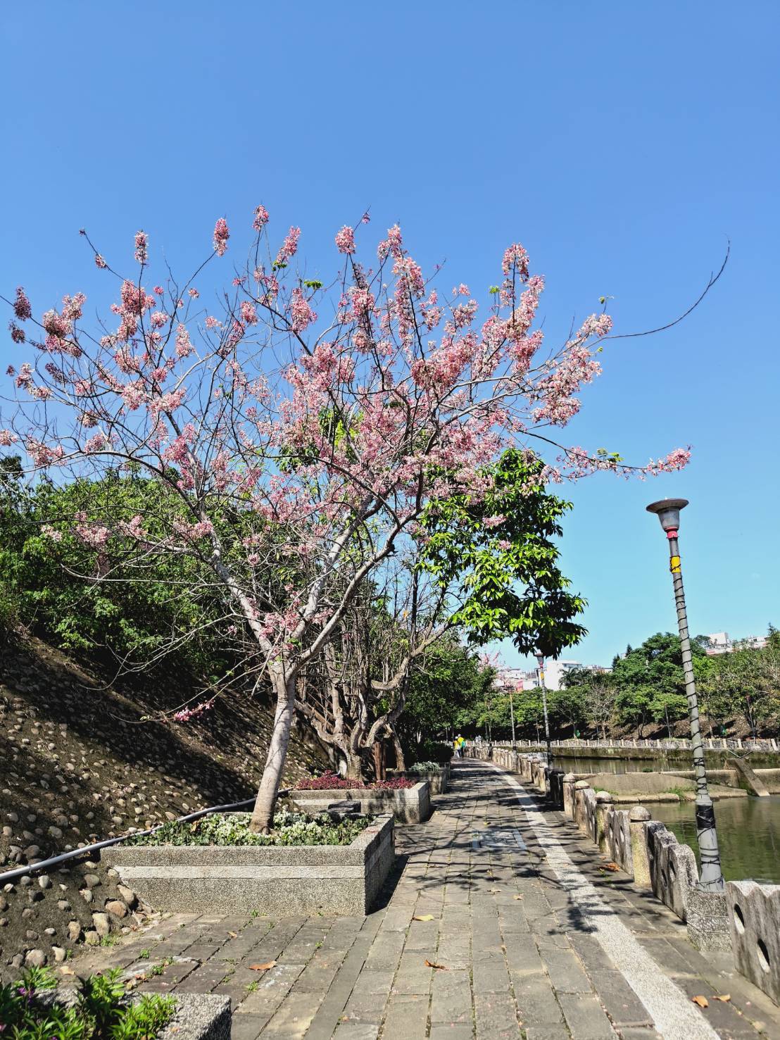 Niulan River