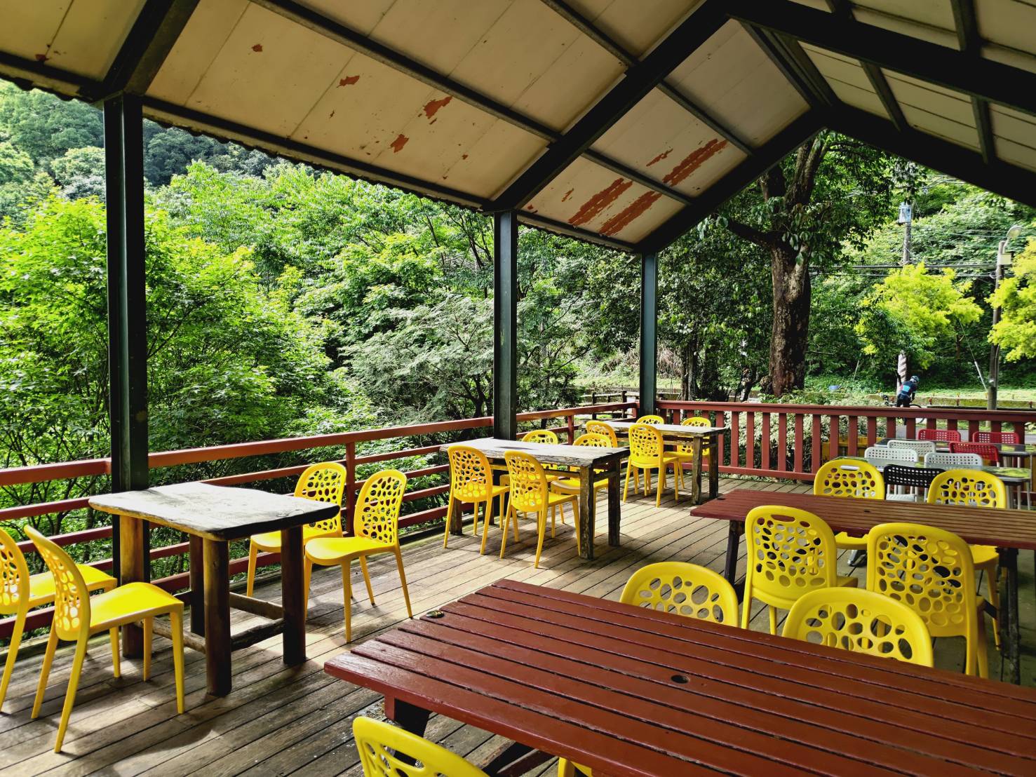 tanacafe