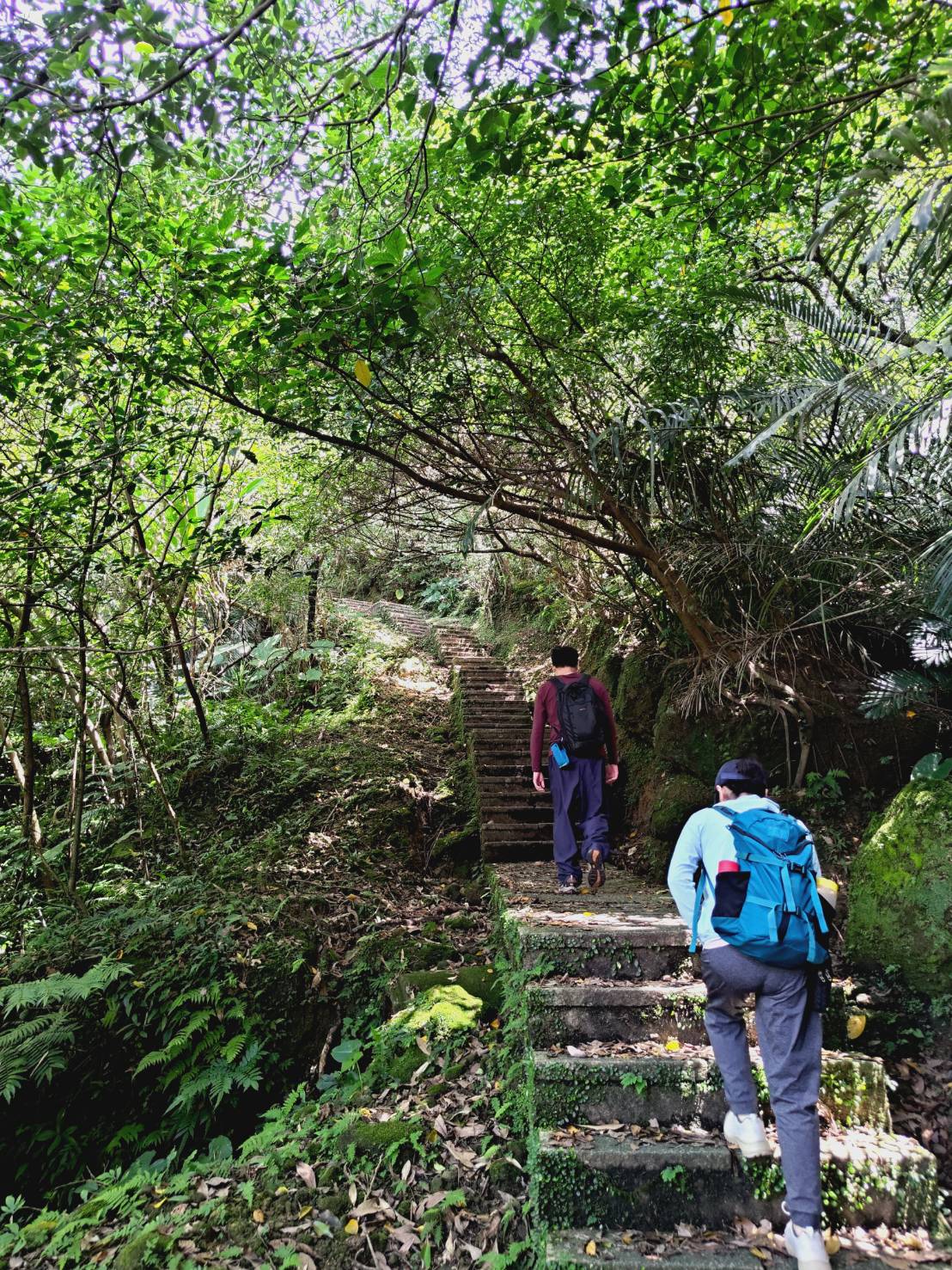 Huangdidian Trail