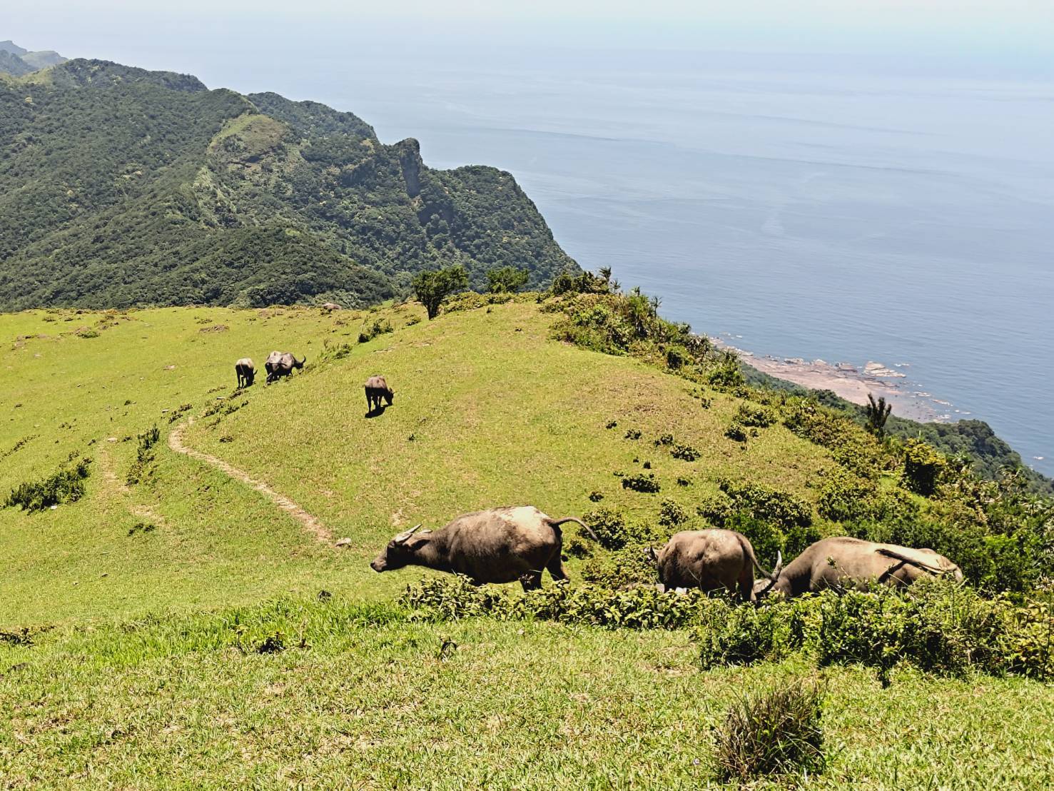 Caoling Historic Trail